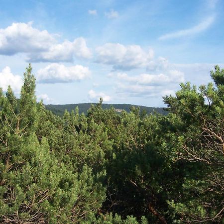 Ferienwohnung Am Pfaffenfels Schönau Dış mekan fotoğraf